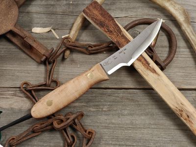 William Collins Woods N Game Junior 4 1/8" Fixed Blade / Maple Burl w/ Orange Liners / Satin AEB-L