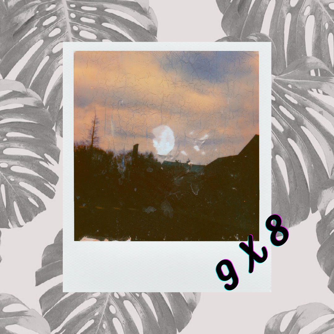 Polaroid 9 X 8