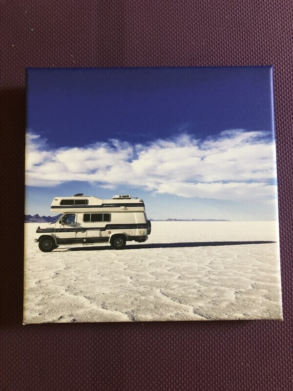 Portrait of The Madam on the Salt Flats (Shoshone Ter.)