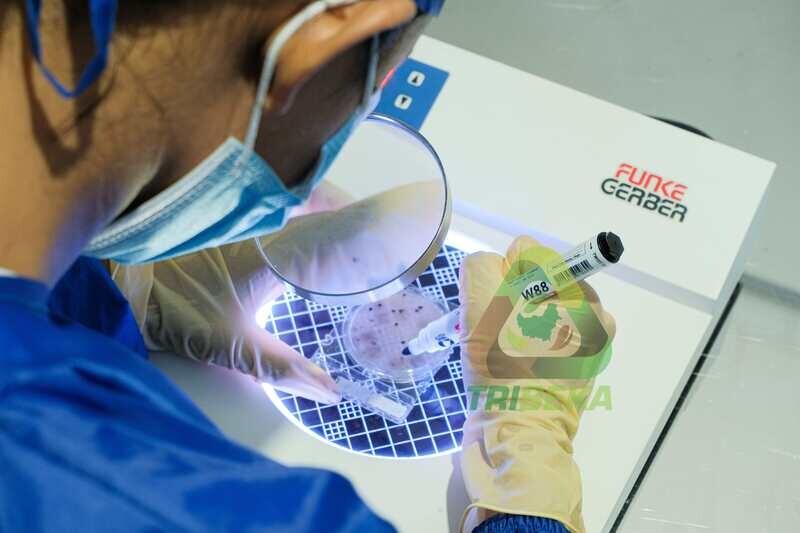 Microbiology Observation