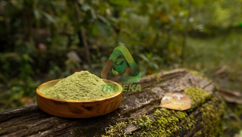Best Kratom Powder