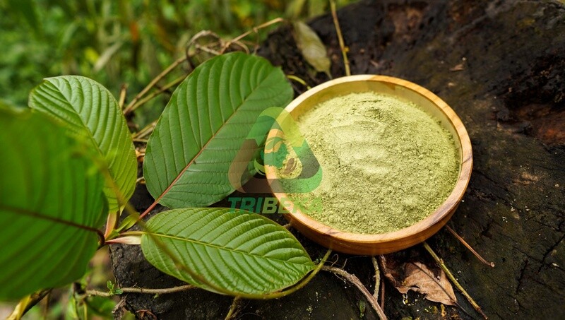 Kratom Indonesia