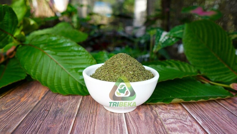 Kratom Exporter Indonesia