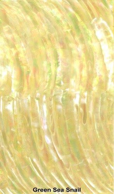 Veneer Sheet: Green Sea Snail