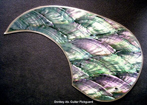 PG-D - Pickguard: Donkey Ear Abalone (Haliotis asinina; Philippines)