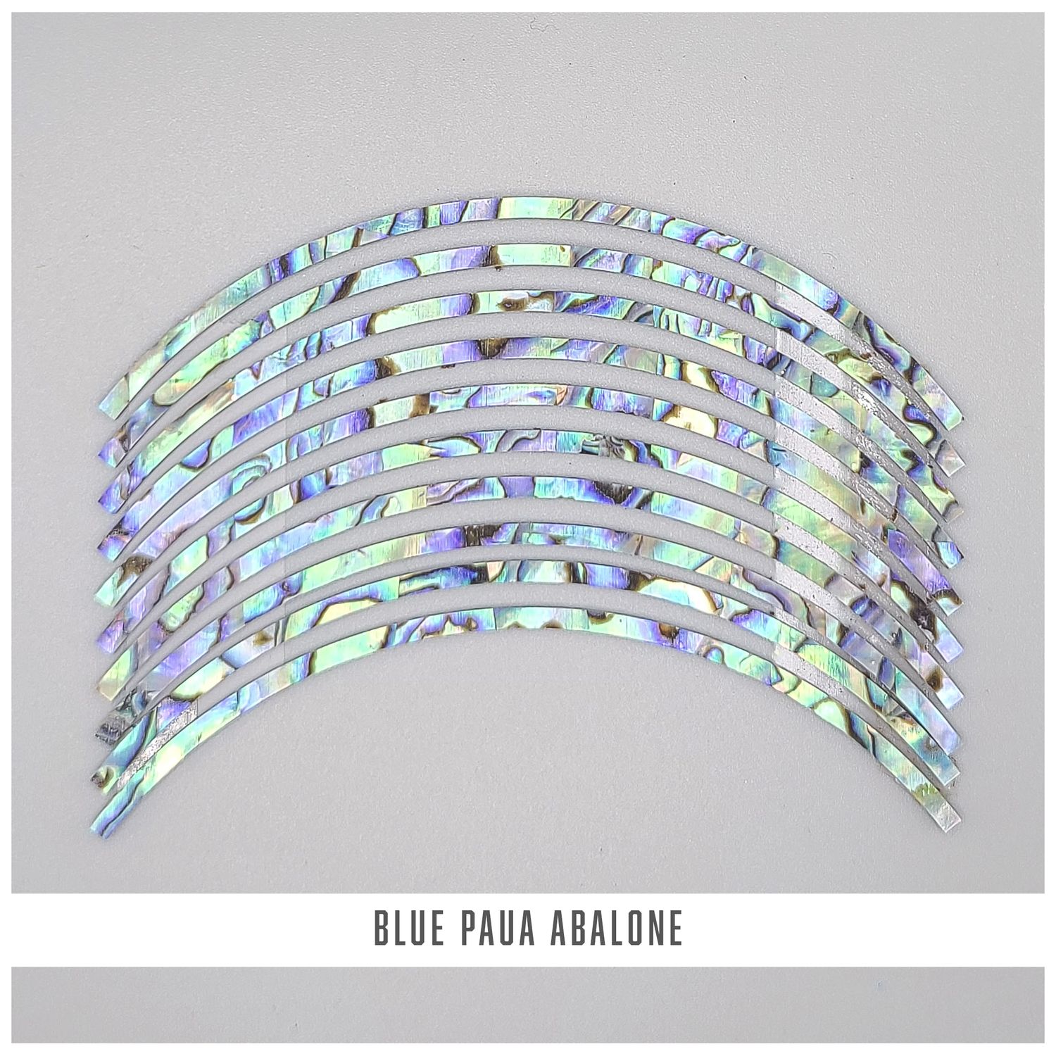 Curved Strips: Paua Abalone Blue Ply