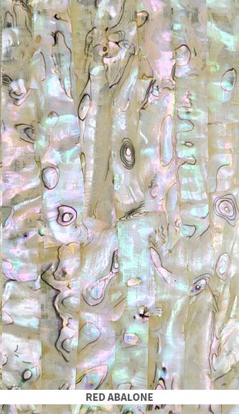 Veneer Sheet: Red Abalone