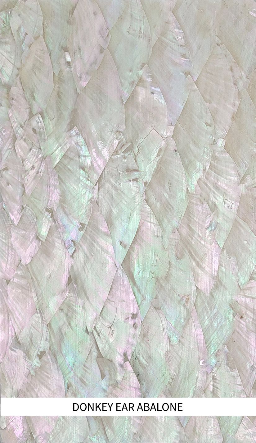Veneer Sheet: Donkey Ear Abalone