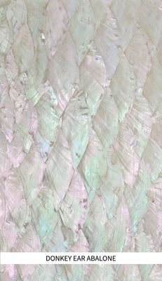 Veneer Sheet: Donkey Ear Abalone Veneer Sheet: Donkey Ear Abalone