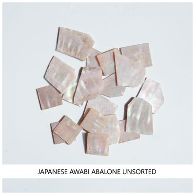 Blanks: Japanese Awabi Abalone Unsorted