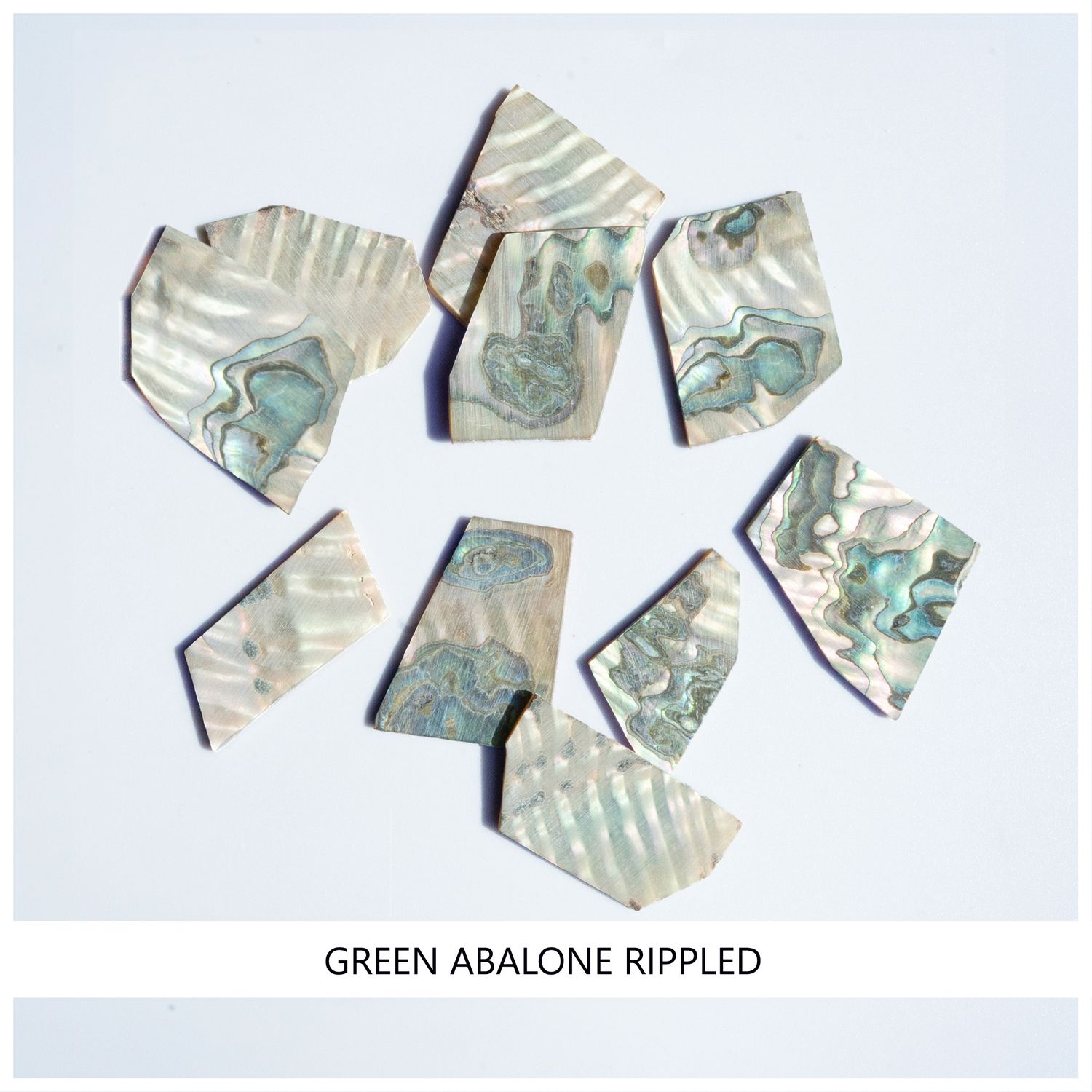 Blanks, Green Abalone, Rippled