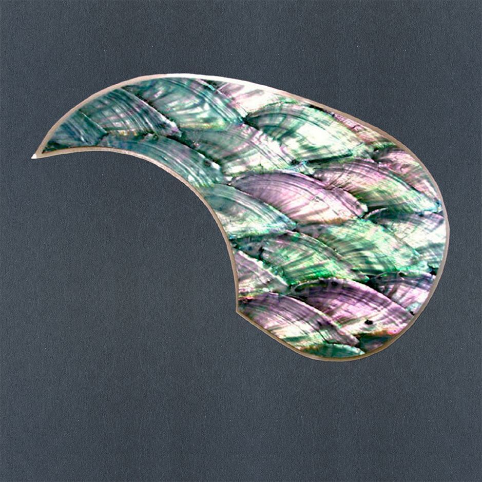 PICKGUARDS - Store - Duke of Pearl