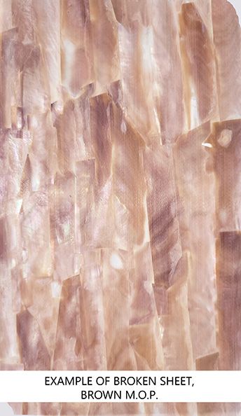 Discounted: Thin Shell Veneer Sheets - Store - Duke of Pearl