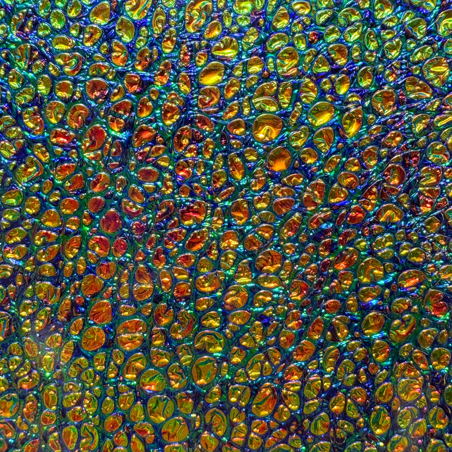 Dichrolam: Dragon Burl