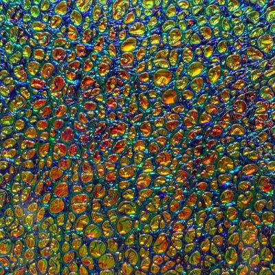 Dichrolam: Dragon Burl