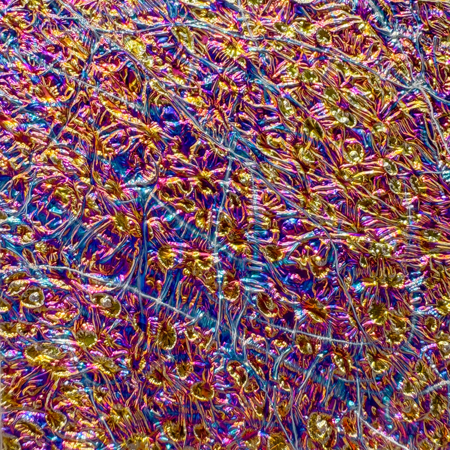 Dichrolam: Titanium Burl