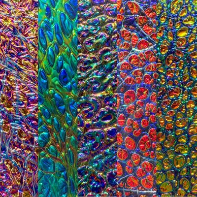 DICHROLAM® BURL SHEETS