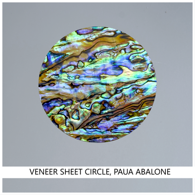 Veneer Sheet Circle: Paua Abalone