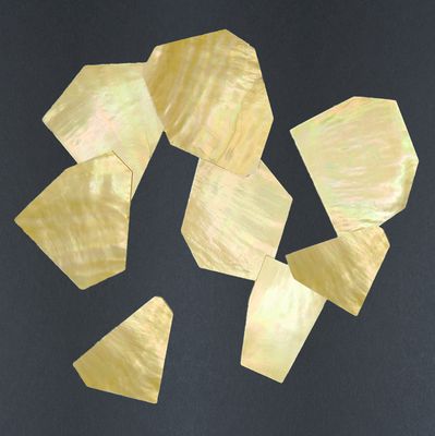 TRADITIONAL SOLID SHELL BLANKS
