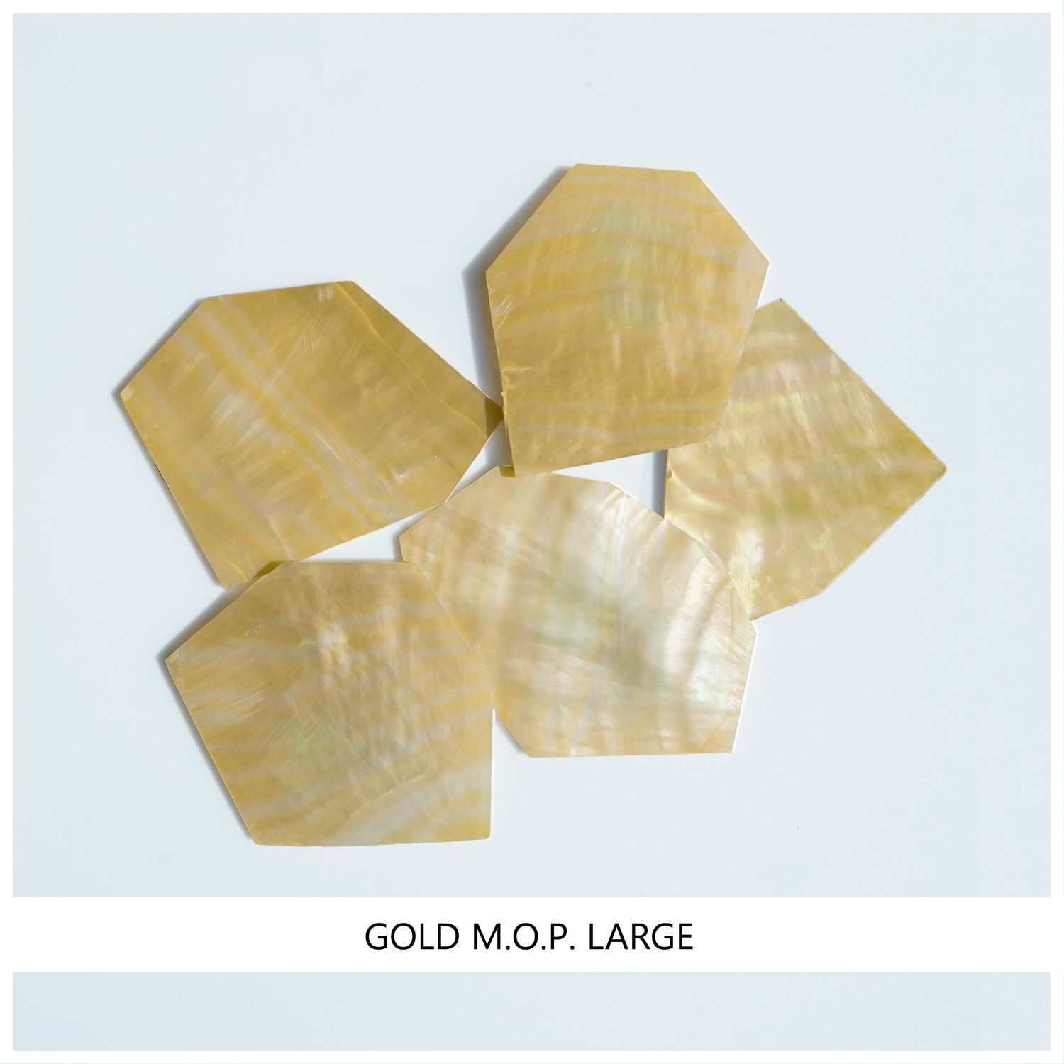 Blanks: Gold MOP Large