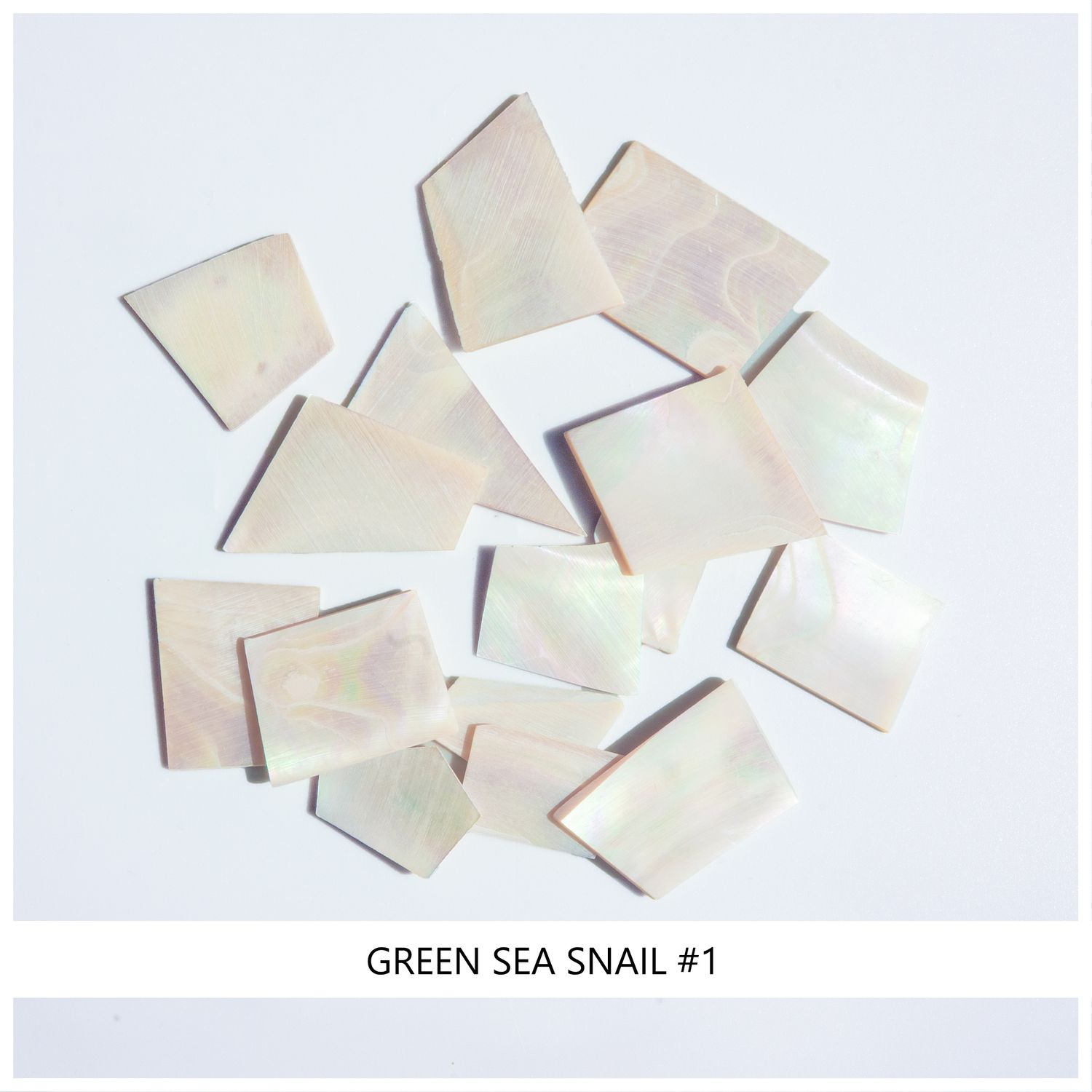 Blanks: Green Sea Snail #1