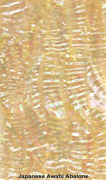 Veneer Sheet: Japanese Awabi Abalone Veneer Sheet: Japanese Awabi Abalone