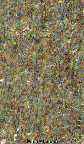 Veneer Sheet: Paua Abalone Veneer Sheet: Paua Abalone