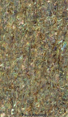 Veneer Sheet: Paua Abalone