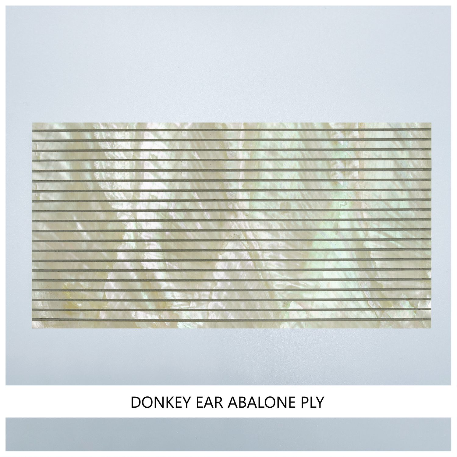 Straight Strips: Donkey Ear Abalone Ply