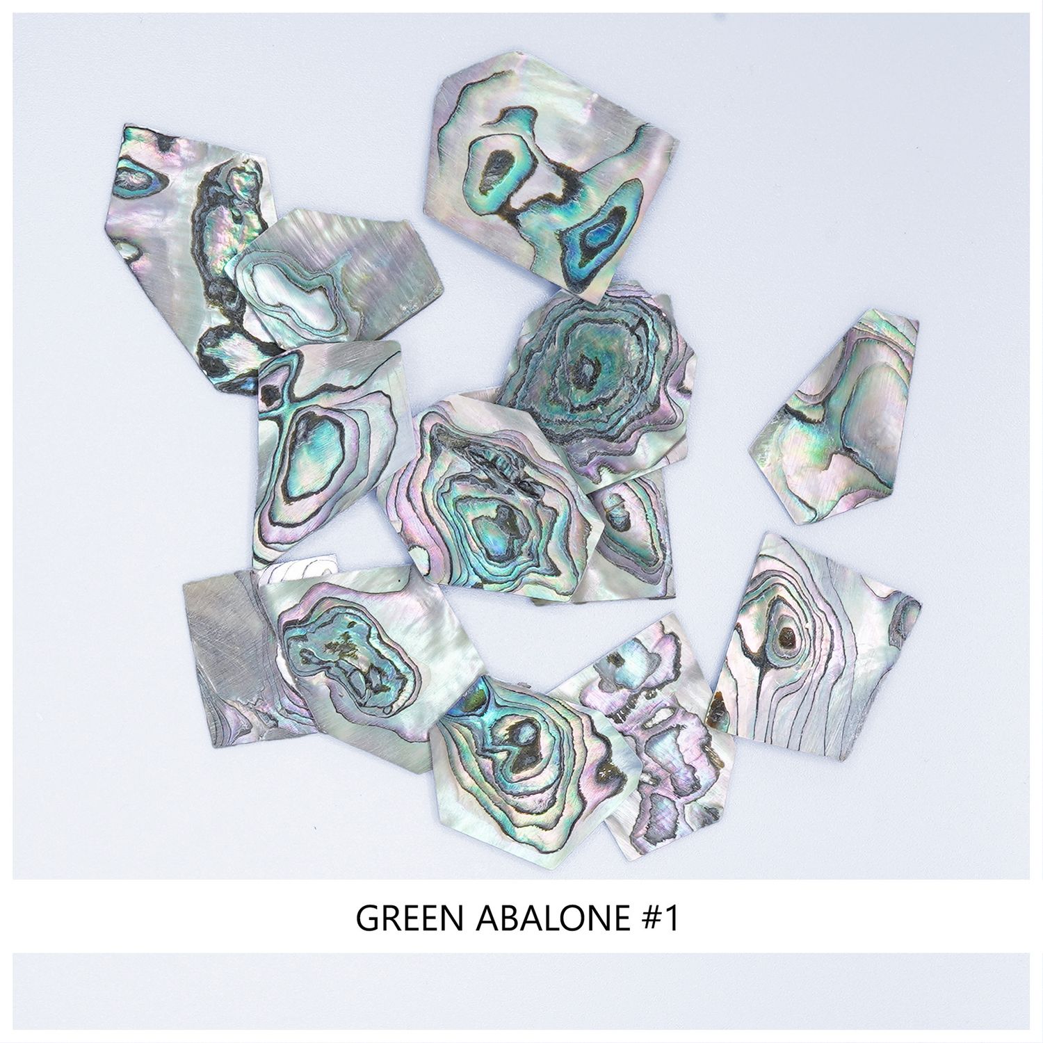 Blanks: Green Abalone, #1 Blanks: Green Abalone, #1