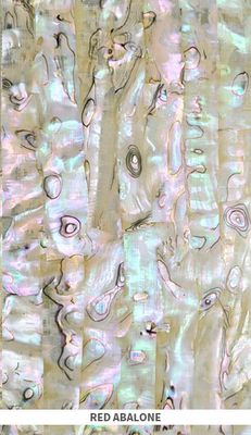 Veneer Sheet: Red Abalone