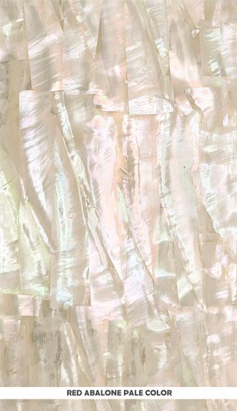 Veneer Sheet: Red Abalone Pale Color