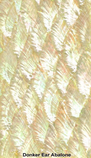 Veneer Ply Sheet: Donkey Ear Abalone