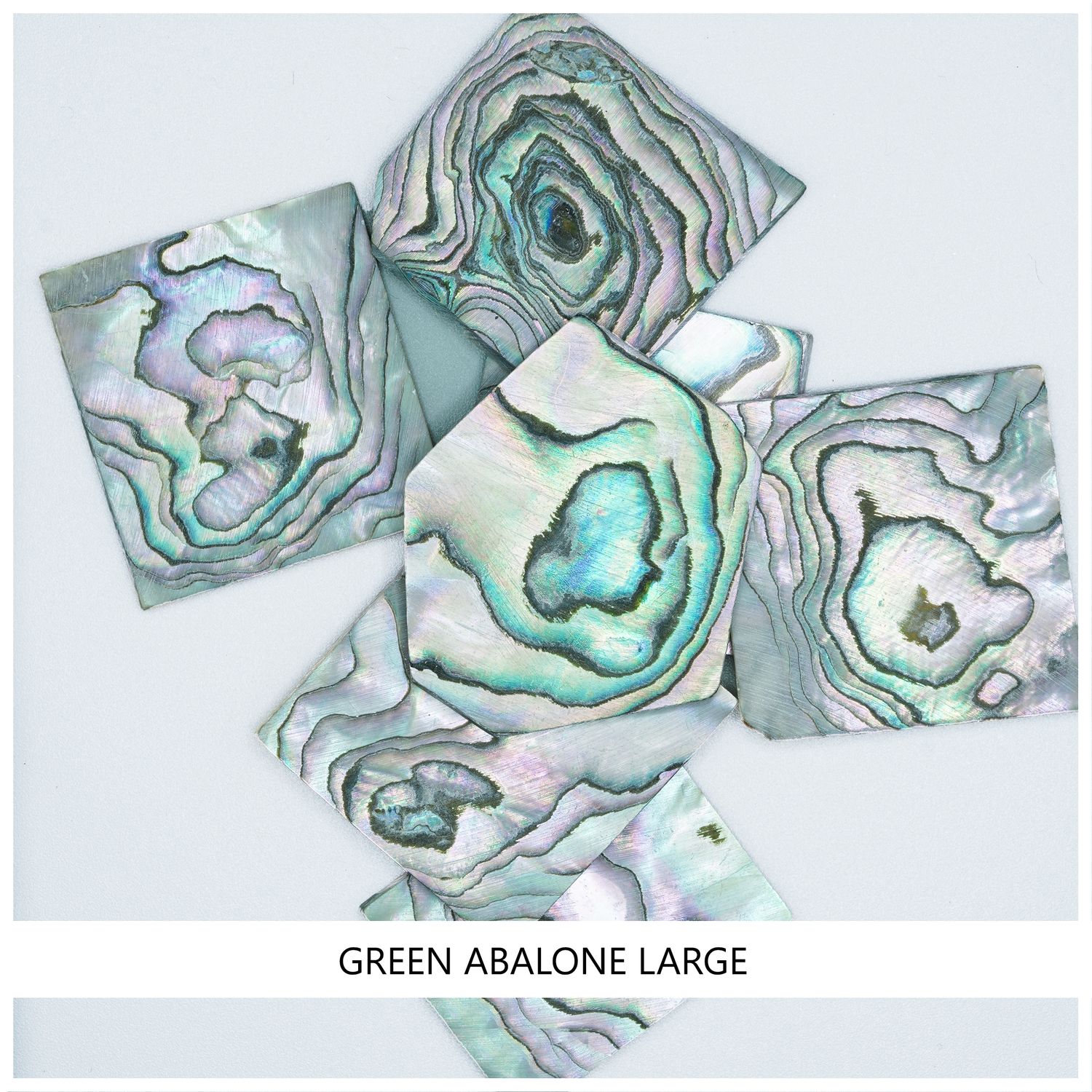 Blanks: Green Abalone, Large Blanks: Green Abalone, Large