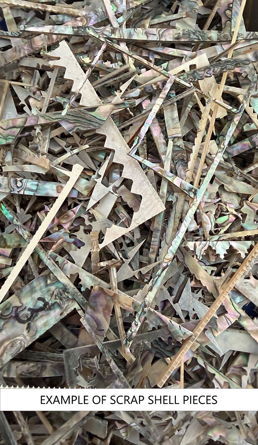 Scrap Shell Pieces