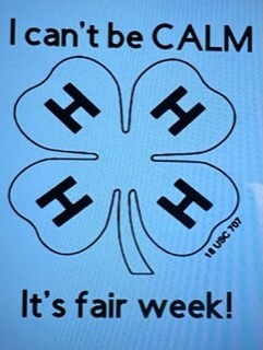 4H Cotton T-shirt