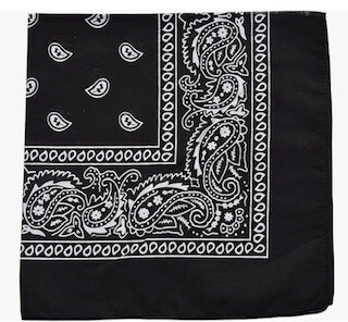 AK Doggie Bandana