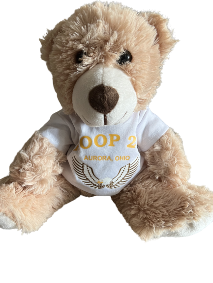 NEW - 14&quot; Soft Brown Teddy Bear with Troop Tee