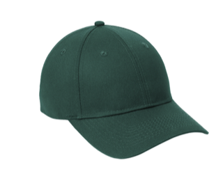 NEW - Troop 269 Adjustable Hat