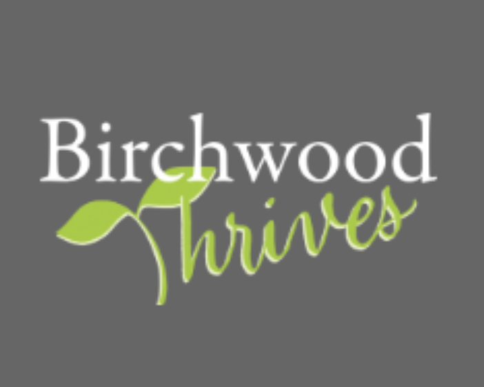 NEW Birchwood Thrives Perfect Tri Blend Short Sleeve Tee - Adult &amp; Youth