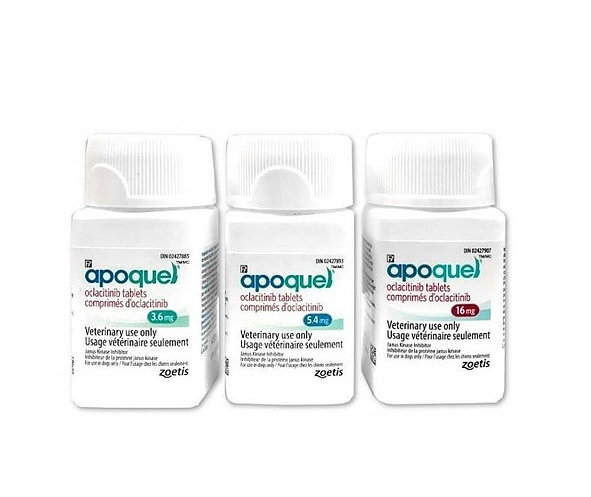 apoquel human use