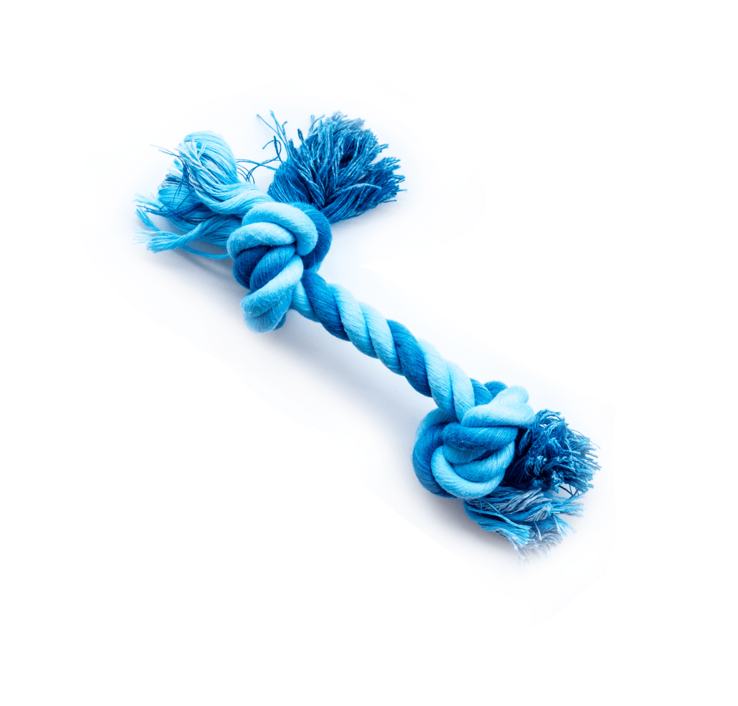 Blue Rope Toy