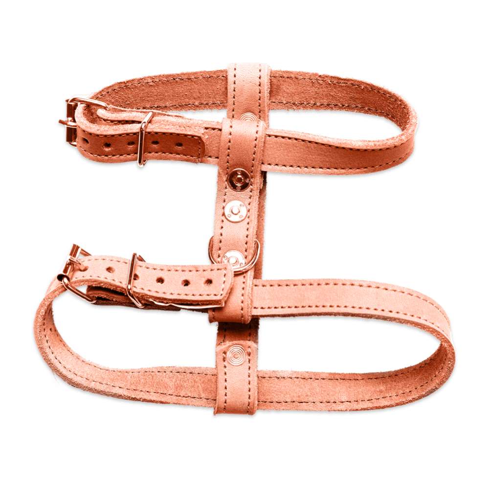 Peach Harness