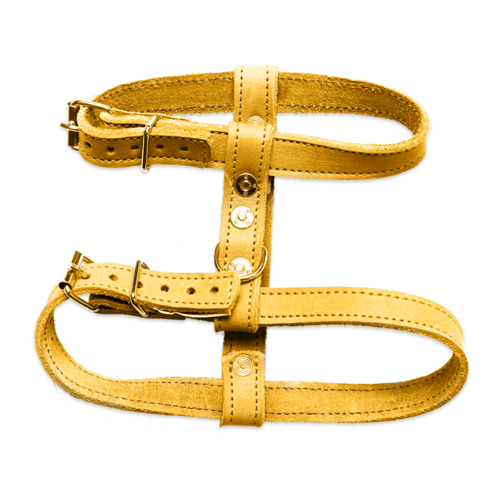Yellow Harness