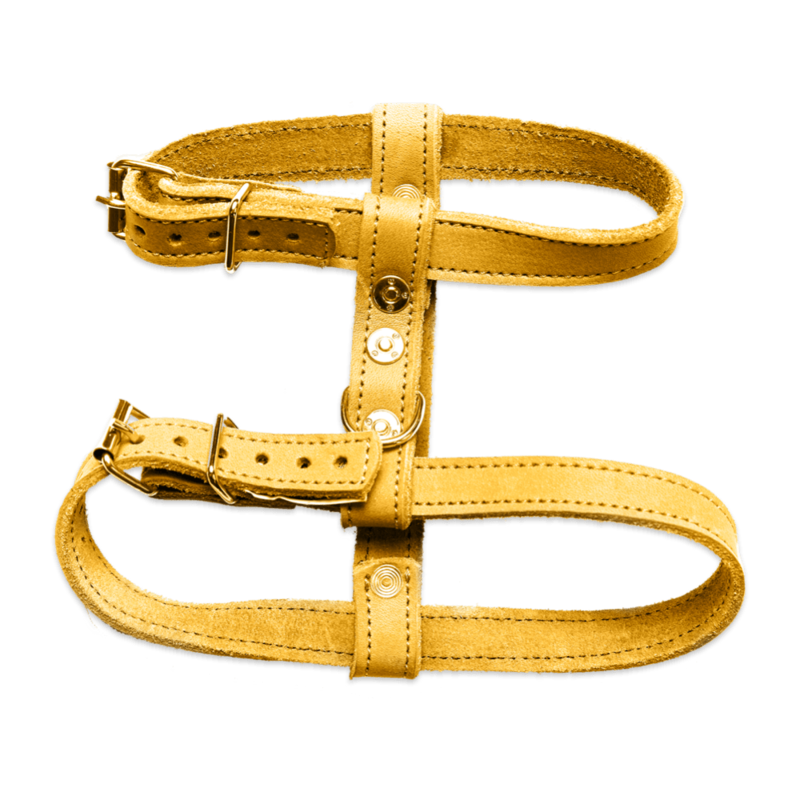 Yellow Harness