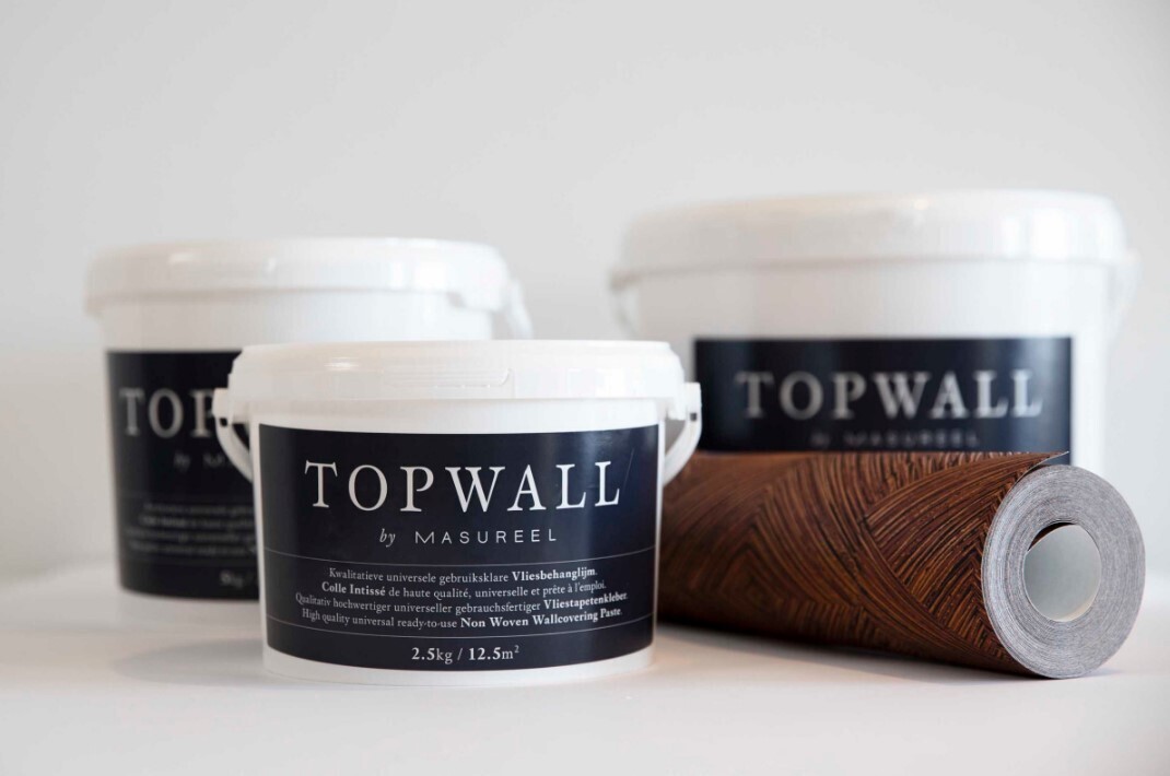 Topwall Fertigkleber a.2,5kg