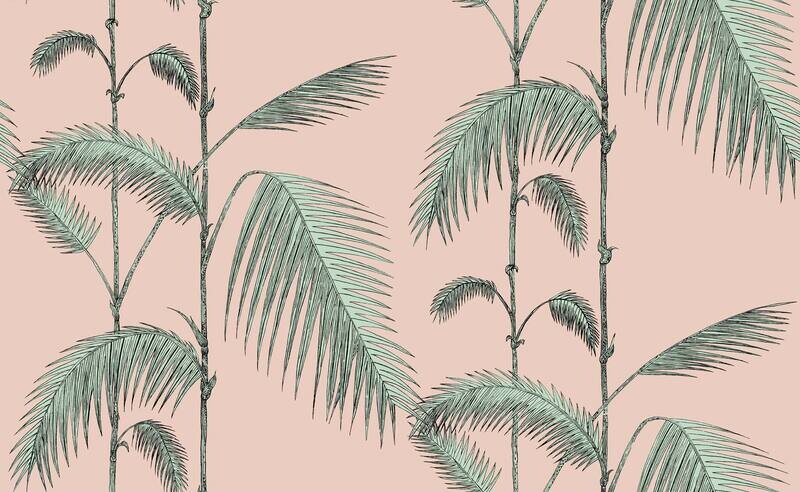 Palm Leaves