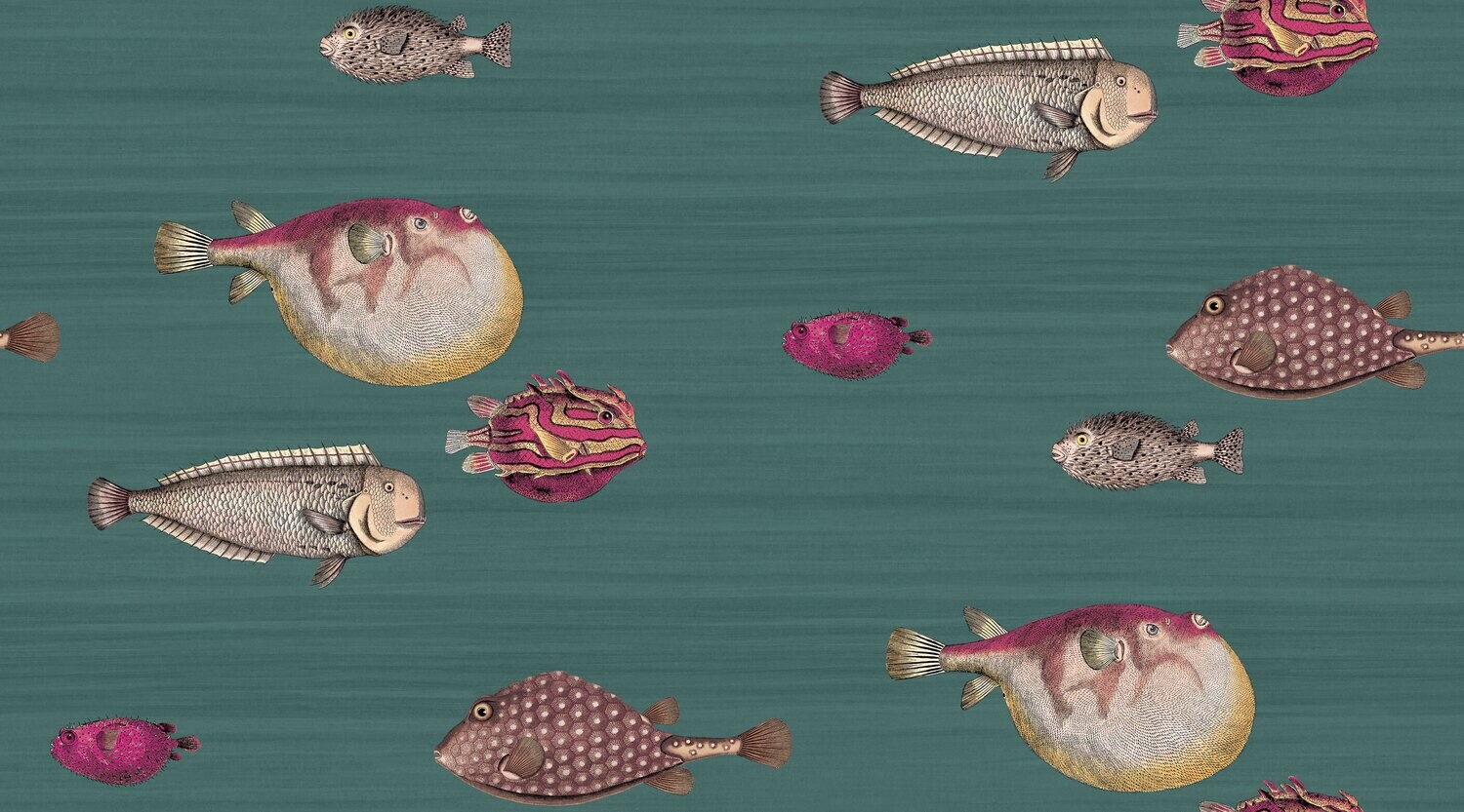 Acquario