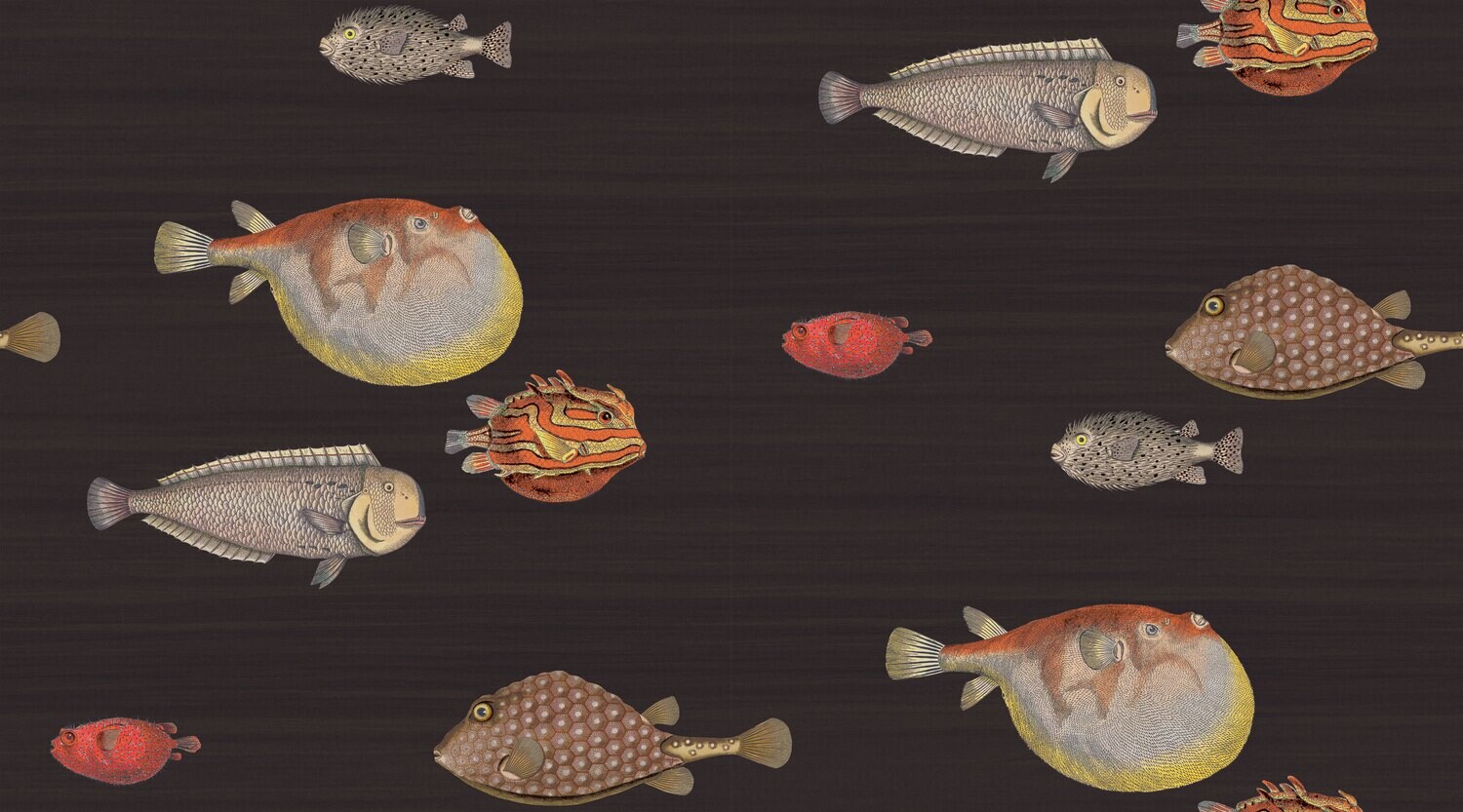 Acquario