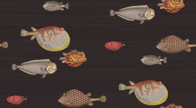 Acquario
